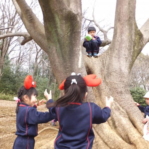 リアルさるかに合戦