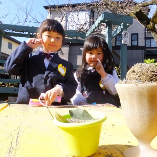 パフェ越し女子、女子越し民家