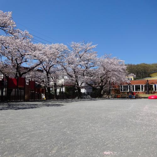 お花見日和