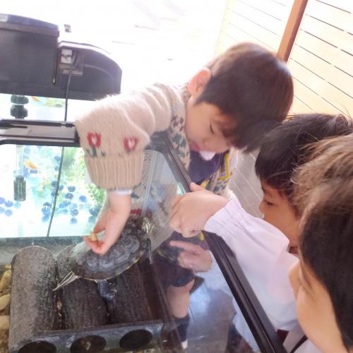 エリザベス、元気出して