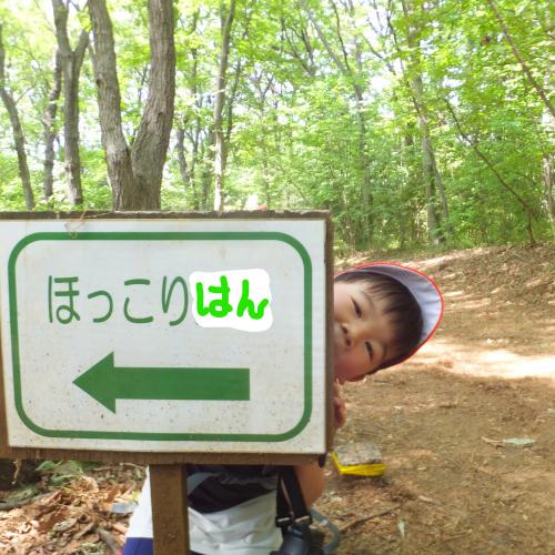 はい、ほっこりはん