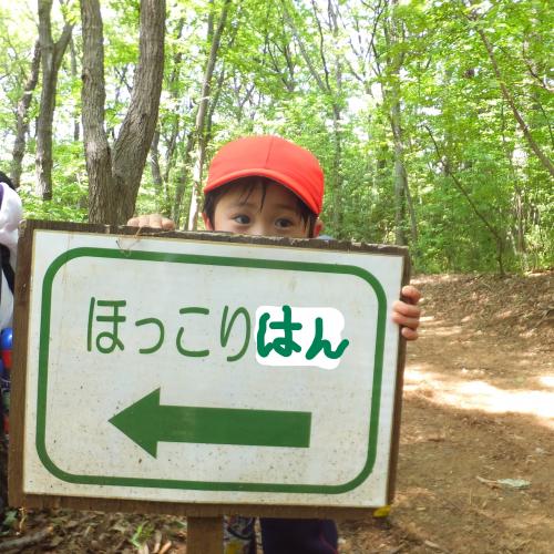 はい、ほっこりはん