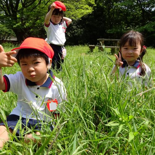 草長かったよね