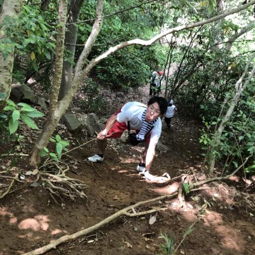 野生のハチコクザルが現れた