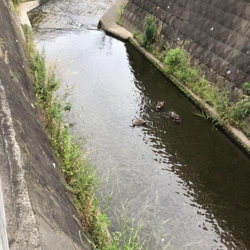 お元気でしたか