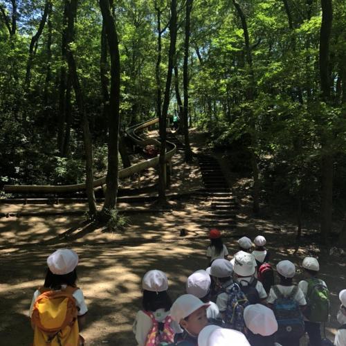 八国山みたい