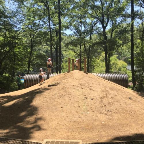 山登り
