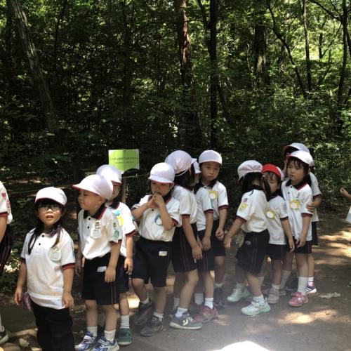 行列のできる遊具