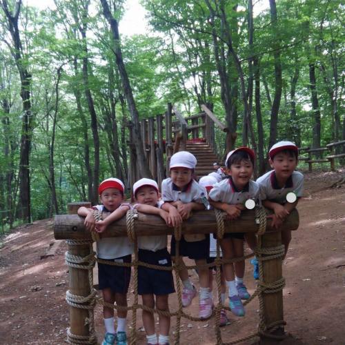 山の中は涼しめ
