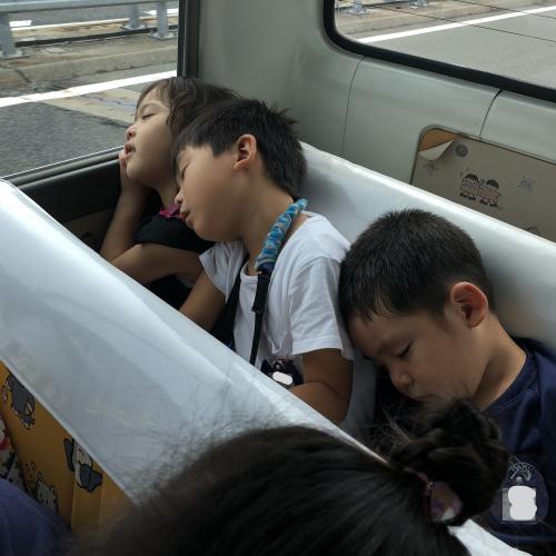 ＺＺＺ…