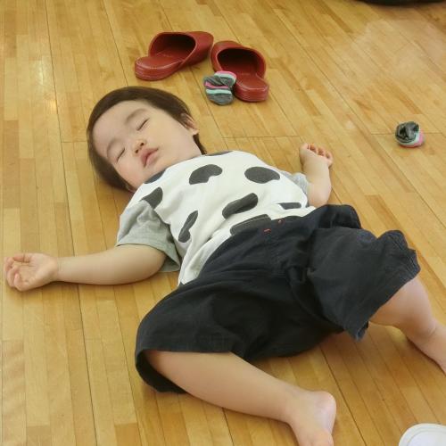 ｚｚｚ・・・