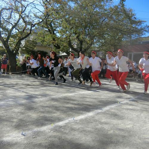 GO！！