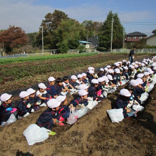 さぁ掘るぞー！